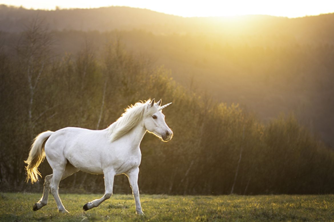 Today’s Real Estate Market: The ‘Unicorns’ Have Galloped Off